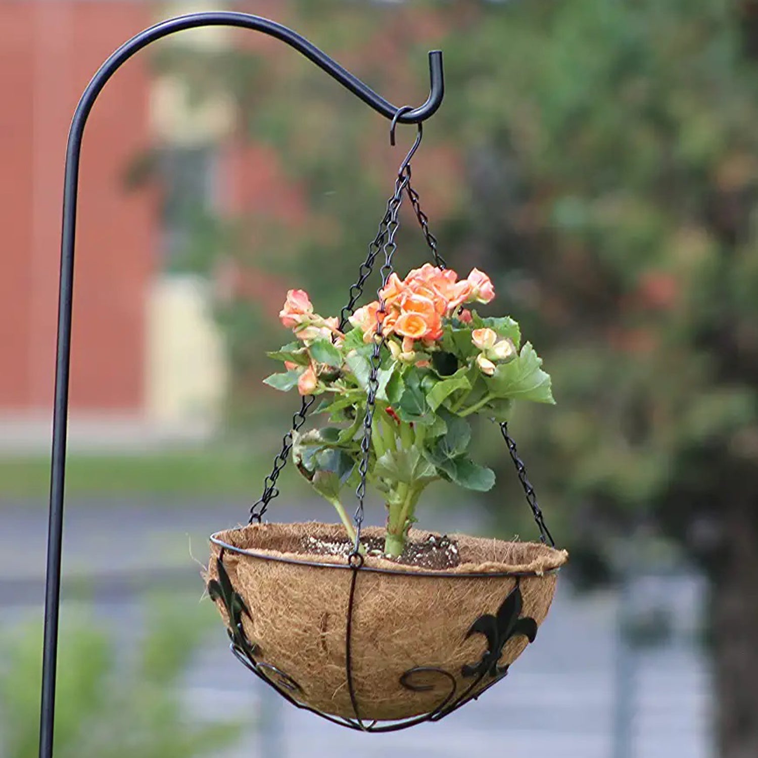 plant hanging stand outdoor Ashman 12" Plant Hanger Basket with Sword Design Hanging Flower Planter Basket Ideal for Fences, Sword 2 Pack