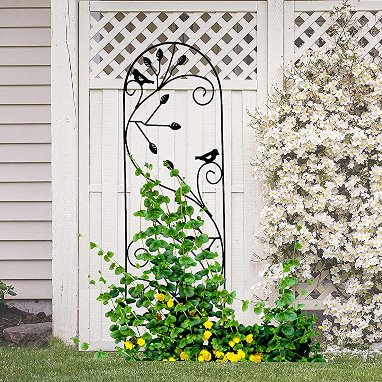 climbing flowering plants for trellis Ashman Bird Design Trellis (1 Pack) for Garden and Climbing Plants and – Ashman Online