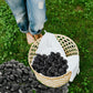 Ashman 0.5-1.5 in. Small Black Pebbles Solar 20 lbs.-Pack for Garden, Pathway Decor, Aquarium and Water fountains