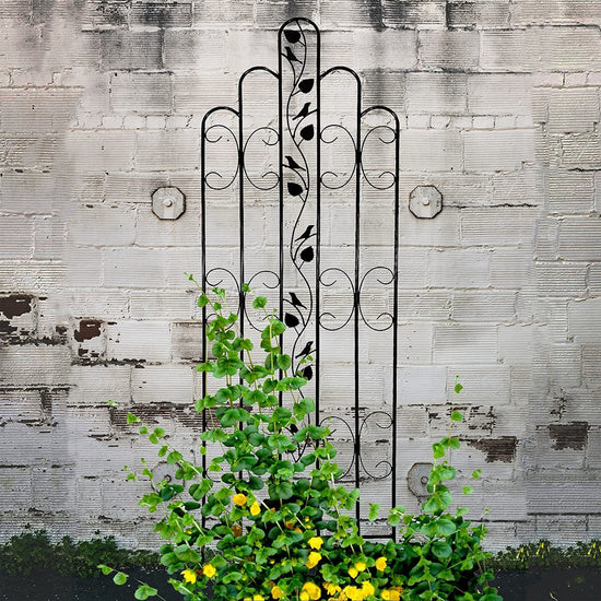 Ashman Online Heavy Duty Trellis for Garden and Climbing Plants and Vines, Great for Ivy, Roses, Cucumbers, Clematis - 70 inches Tall, Standard Design 1 Pack