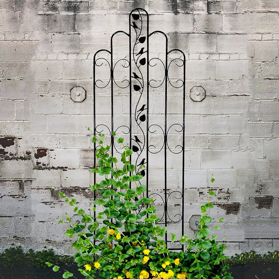 Ashman Online Heavy Duty Trellis for Garden and Climbing Plants and Vines, Great for Ivy, Roses, Cucumbers, Clematis - 70 inches Tall, Standard Design 1 Pack