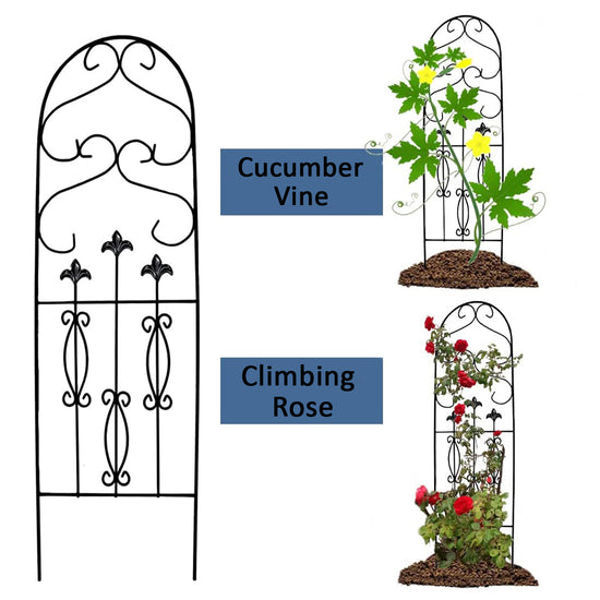 Ashman Spade Design Trellis (1 Pack) for Garden and Climbing Plants and Vines, Great for Ivy, Roses, Cucumbers, Clematis - 60 inches Tall.