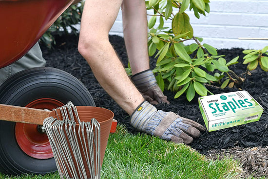 AllThingMetal Galvanized Garden Stakes Landscape Staples 100 Pack 6 Inch Sod and Fence Stake - Sturdy Rust Resistant Gardening Supplies for Anchoring