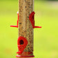 Ashman Bird Feeder, Metal Top and Bottom, Spacious Design, Attractive & Long Lasting