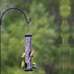 Ashman Premium Bird Feeder Small Arm