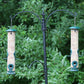 Ashman Bird Feeder, Metal Top and Bottom, Spacious Design, Attractive & Long Lasting