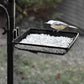 Premium Bird Feed Station Mesh Tray To Hold Sued Cake