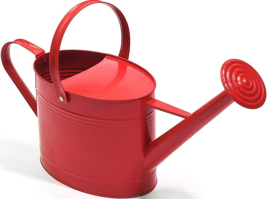 Ashman Red Watering Can 100 Count