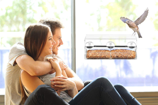 Ashman Deluxe Window Bird Feeder, Spacious Design, Easy to Install, Clean and Fill, Great Gift for Friends and Family