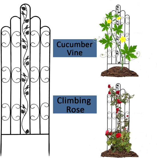 Ashman Online Heavy Duty Trellis for Garden and Climbing Plants and Vines, Great for Ivy, Roses, Cucumbers, Clematis - 70 inches Tall, Standard Design 1 Pack