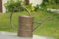 Ashman Bronze Watering Can for Outdoor and Indoor Plant Watering Use with 2 Litre Capacity. 100 Count