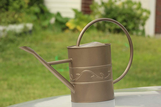 Ashman Bronze Watering Can for Outdoor and Indoor Plant Watering Use with 2 Litre Capacity. 100 Count