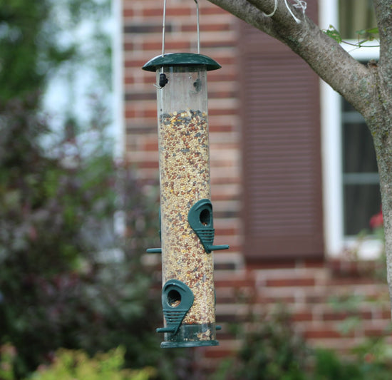 Ashman Bird Feeder to Attract Wild Birds (Green)