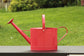Ashman Red Watering Can 100 Count