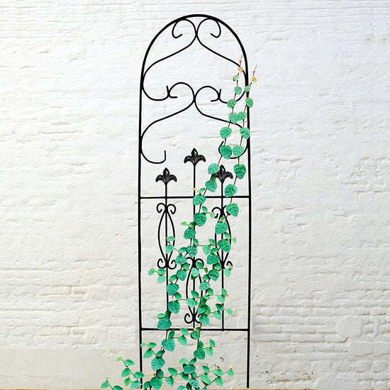Ashman Spade Design Trellis (1 Pack) for Garden and Climbing Plants and Vines, Great for Ivy, Roses, Cucumbers, Clematis - 60 inches Tall.