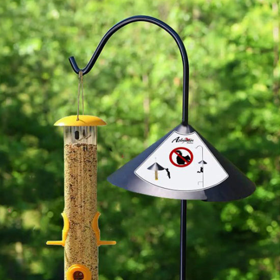 Ashman Squirrel Guard, Heavy Duty Metal, Bird Feeder, Shepherd Hook
