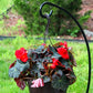 Ashman Shepherd Hook Stand (2 Pack), Bird Cage Stand, Outdoor and Indoor Flower Basket, Patio Plant and Bird Feed Station Stand