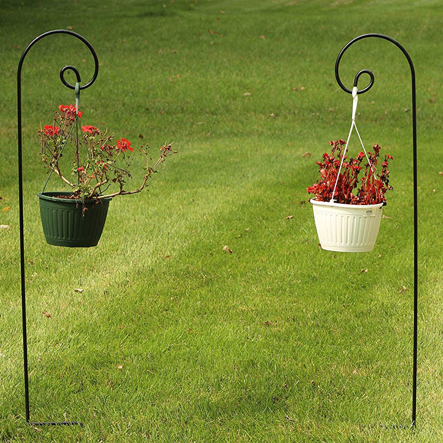 shepherd hook plant hanger Ashman Shepherd Hook 65 Inch 12 Pack, 1/2 Inch Thick, Made of Premium Metal for Hanging Bird Feeders, Mason Jars, Plant Hangers, Flower Basket,