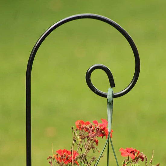 Ashman Shepherd Hook 65 Inch 12 Pack, 1/2 Inch Thick, Made of Premium Metal for Hanging Bird Feeders, Mason Jars, Plant Hangers, Flower Basket, Christmas Lights, Lanterns, Garden Stakes and Weddings.