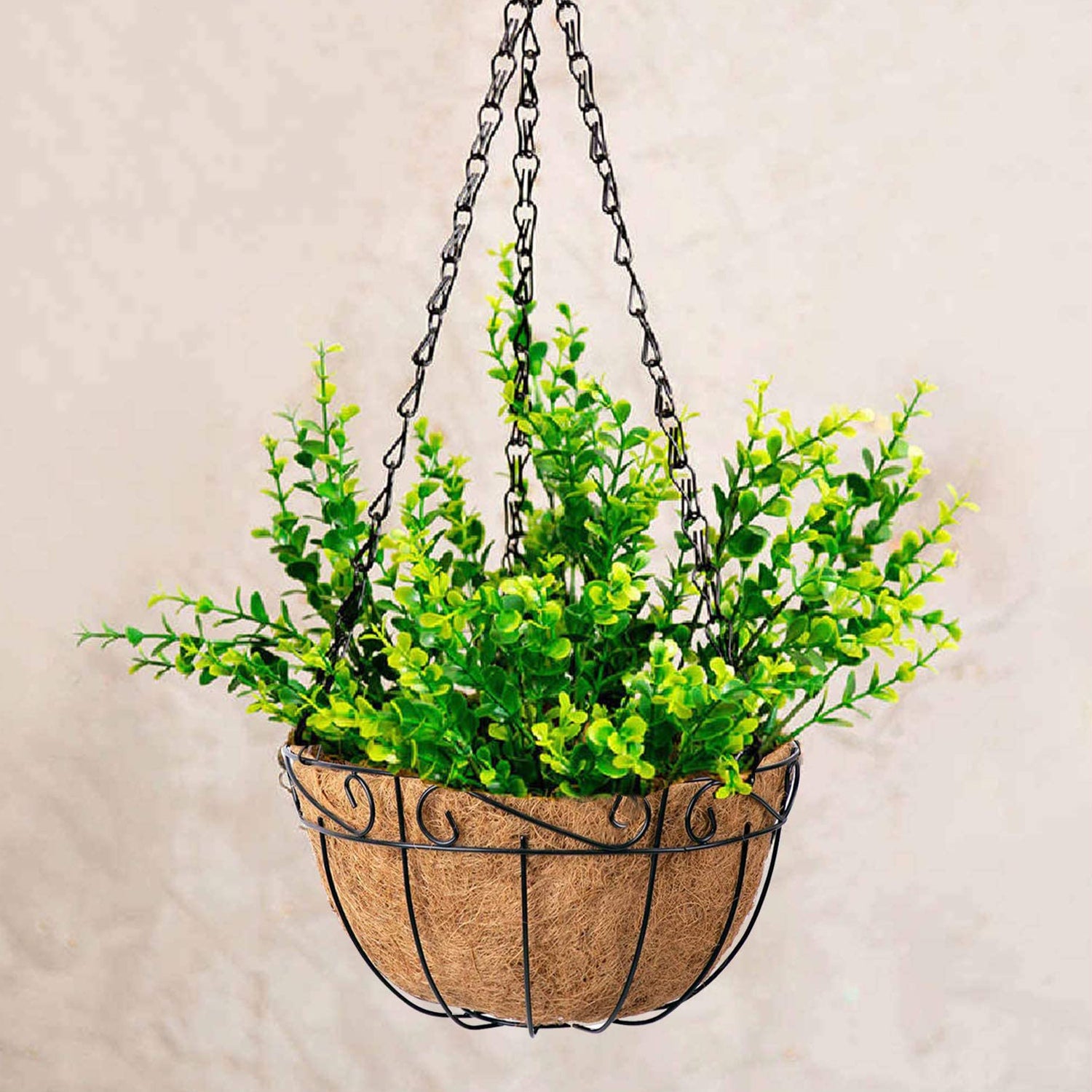 where to buy hanging plants online Ashman Metal Hanging Planter Basket with Coco Coir Liner Round Wire Plant Holder Chain Porch Decor Flower Pots Hanger Garden Decoration Indoor Outdoor