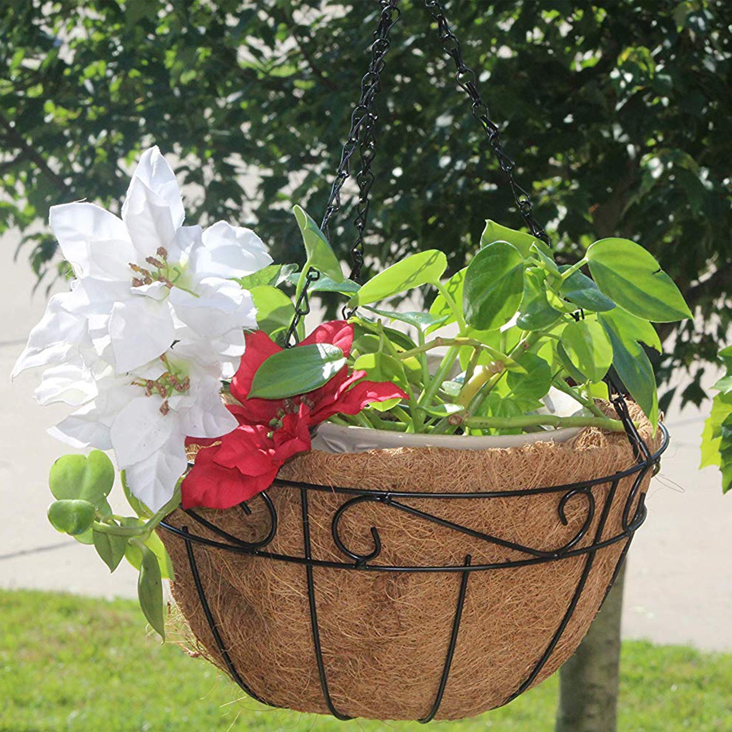 metal hanging planter pots Ashman Metal Hanging Planter Basket with Coco Coir Liner Round Wire Plant Holder Chain Porch Décor Flower Pots Hanger (200 Count)